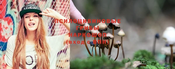 прущие крисы Арсеньев