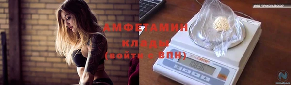 ПСИЛОЦИБИНОВЫЕ ГРИБЫ Балахна