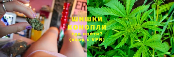 ПСИЛОЦИБИНОВЫЕ ГРИБЫ Балахна