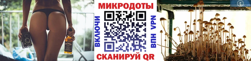 Галлюциногенные грибы Cubensis Радужный