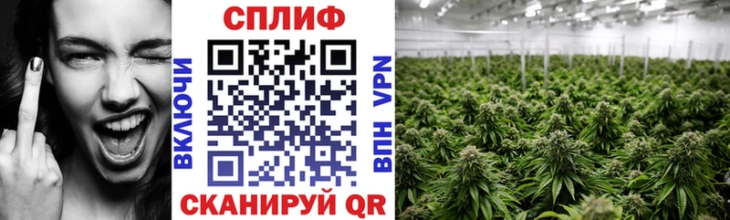Бошки Шишки ГИДРОПОН Радужный